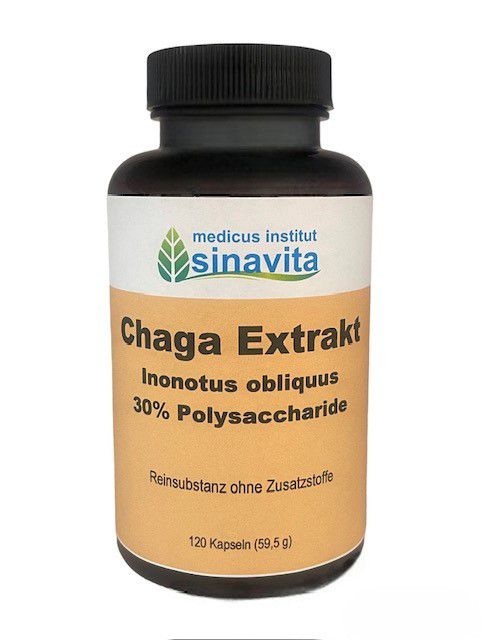 CHAGA EXTRAKT Kapseln